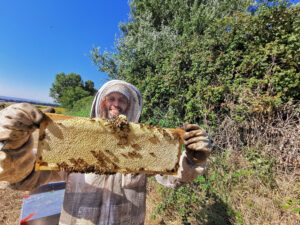 Photo apiculteur Yannick Zeblah